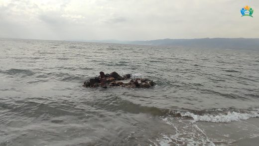 Adramytteion Antik Kenti — inline image
