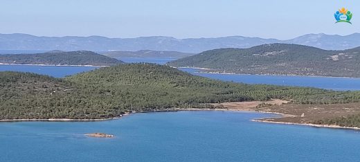 Ayvalık'ın Antik Tarihi: Tarihin Derinliklerine Yolculuk — inline image
