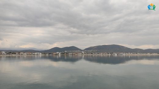 Balıkesir'in Zeytin Kokulu Cenneti: Burhaniye — inline image