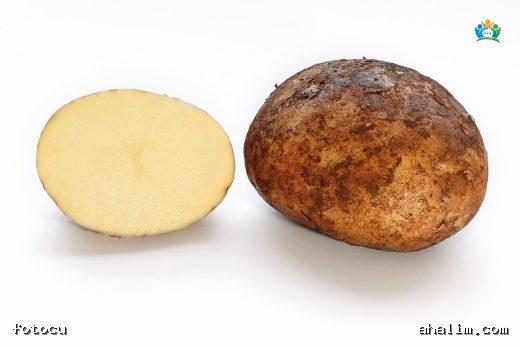 Dünyayı Besleyen Mucize: Patates (Solanum tuberosum) — cover