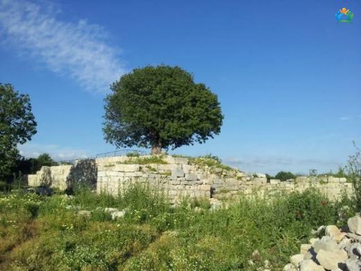 Ege'nin İncisi Teos: Sanatın, Şarabın ve Özgür Ruhun Antik Kenti — inline image