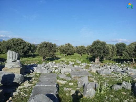 Ege'nin İncisi Teos: Sanatın, Şarabın ve Özgür Ruhun Antik Kenti — inline image