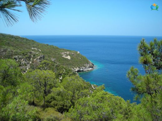 Eski Foça: Tarihin Kalbinde Bir Deniz Şehri — inline image