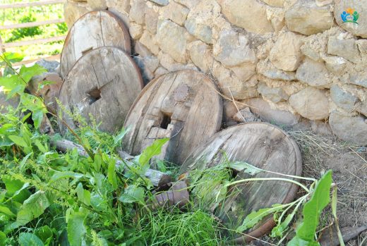 Geçmişin Sessiz Tanığı: Kağnıların Büyülü Dünyası — inline image