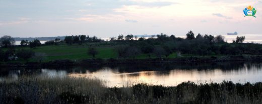 Gryneion Antik Kenti — inline image