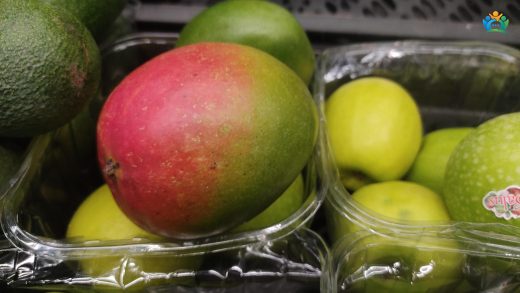 Mango Ağaçlarının Bakımı, Budanması ve Zararlılara Karşı İlaçlanması — inline image
