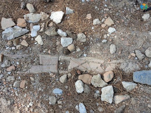 Priene Antik Kenti — inline image
