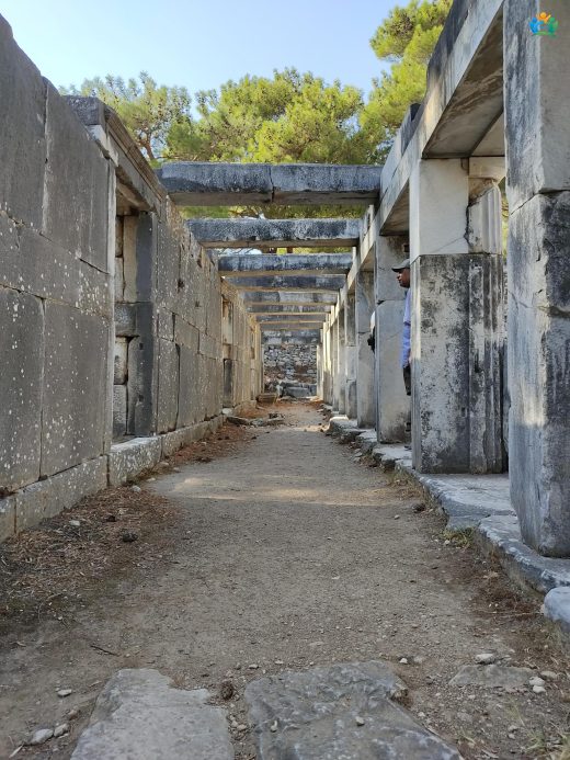 Priene Antik Kenti — inline image