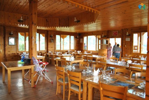 Şavşat Evi: Doğanın ve Tarihin Buluştuğu Yer — inline image
