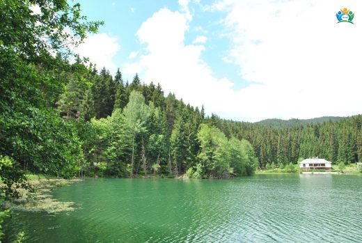Şavşat Karagöl: Karadeniz’in Gizli Cenneti — inline image