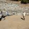 Priene Antik Tiyatrosu