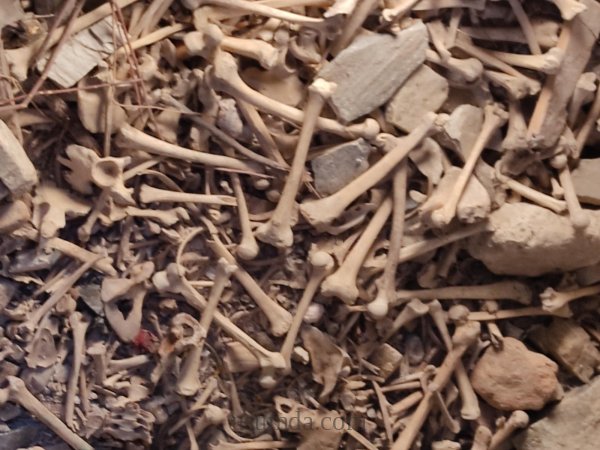 Gelebeç Aziz Nikolaos Kilisesi